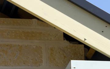 soffit repair Mwynbwll