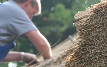 professional Mwynbwll thatchers